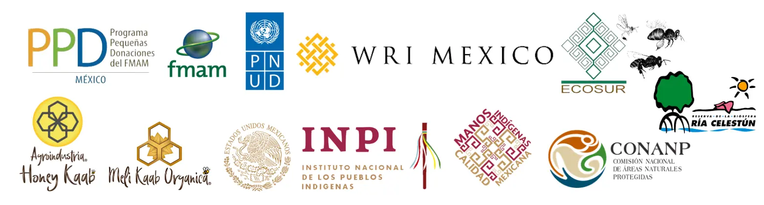 Logotipos de organizaciones, programas e instituciones aliadas